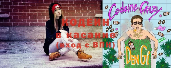 прущие крисы Арсеньев