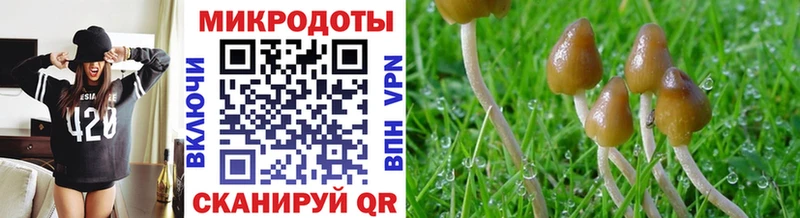 Псилоцибиновые грибы MAGIC MUSHROOMS Майкоп