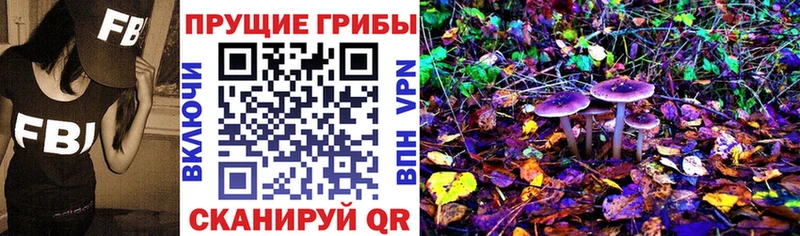 MEGA ссылки  Майкоп  Галлюциногенные грибы Magic Shrooms  как найти наркотики 