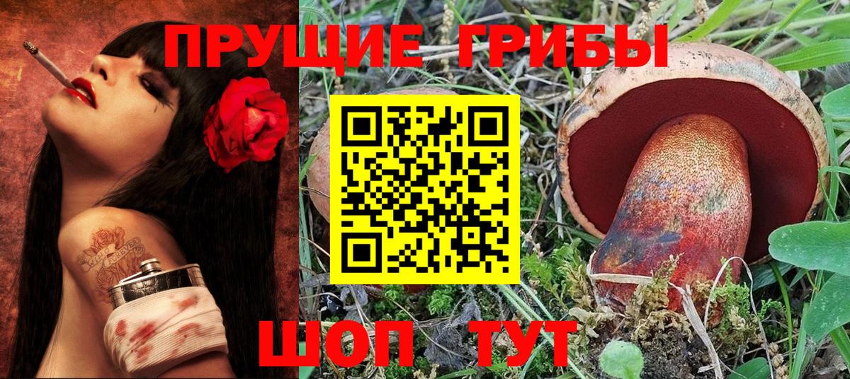 Майкоп  Псилоцибиновые грибы мицелий  Вход с VPN  Галлюциногенные грибы Cubensis 