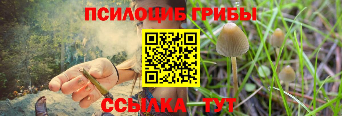 Псилоцибиновые грибы GOLDEN TEACHER Майкоп