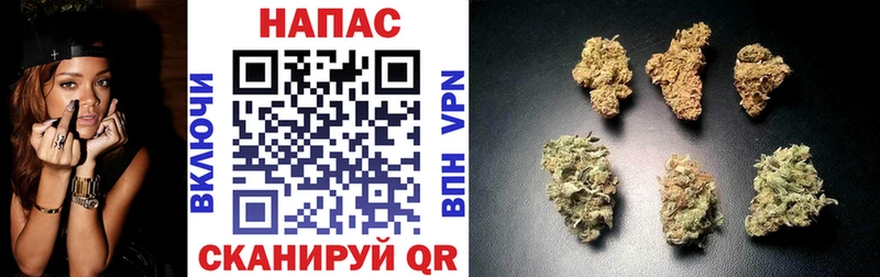 Бошки марихуана AK-47  магазин продажи наркотиков  Майкоп 